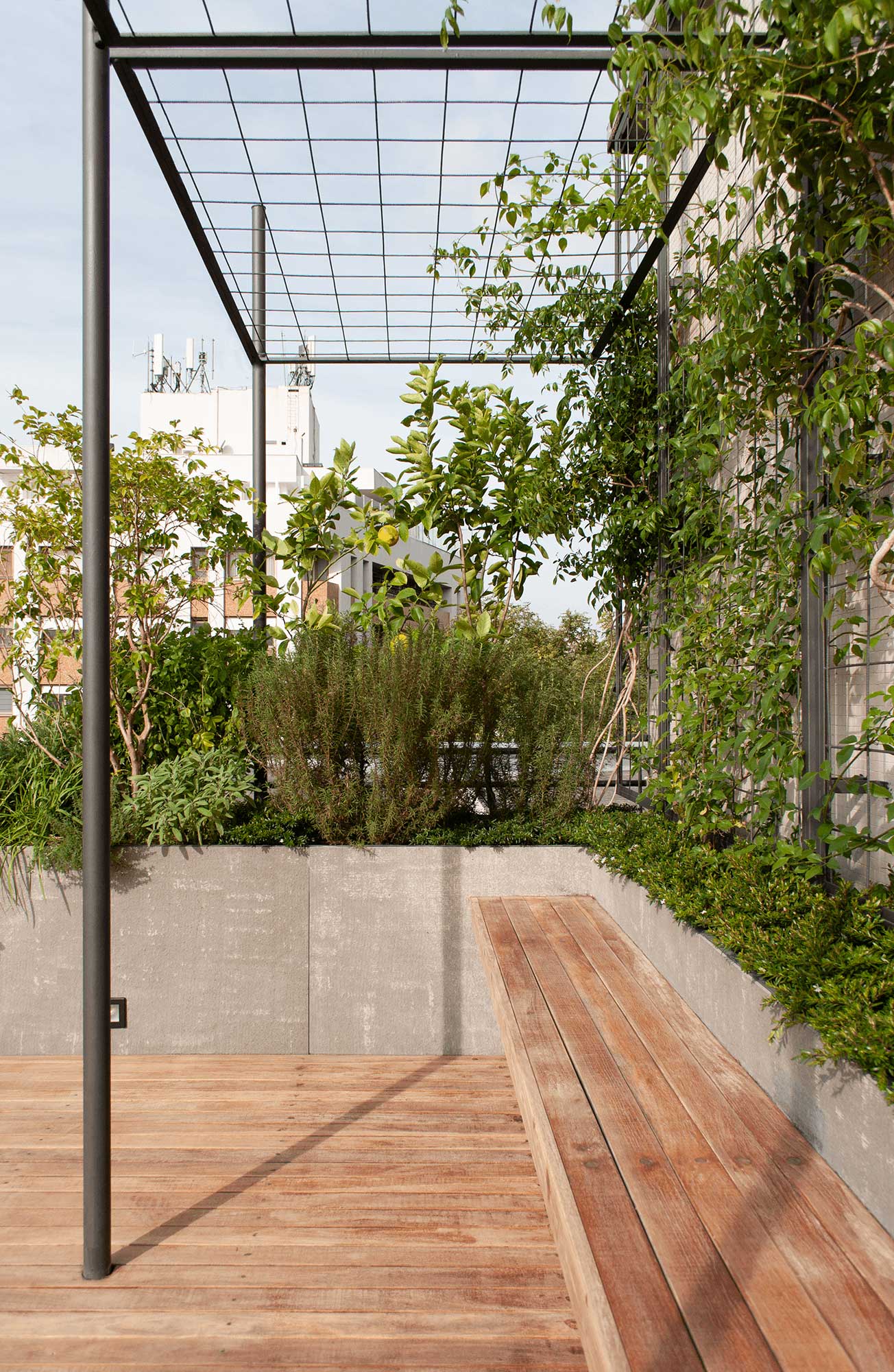 Helvetia Rooftop — project image 6