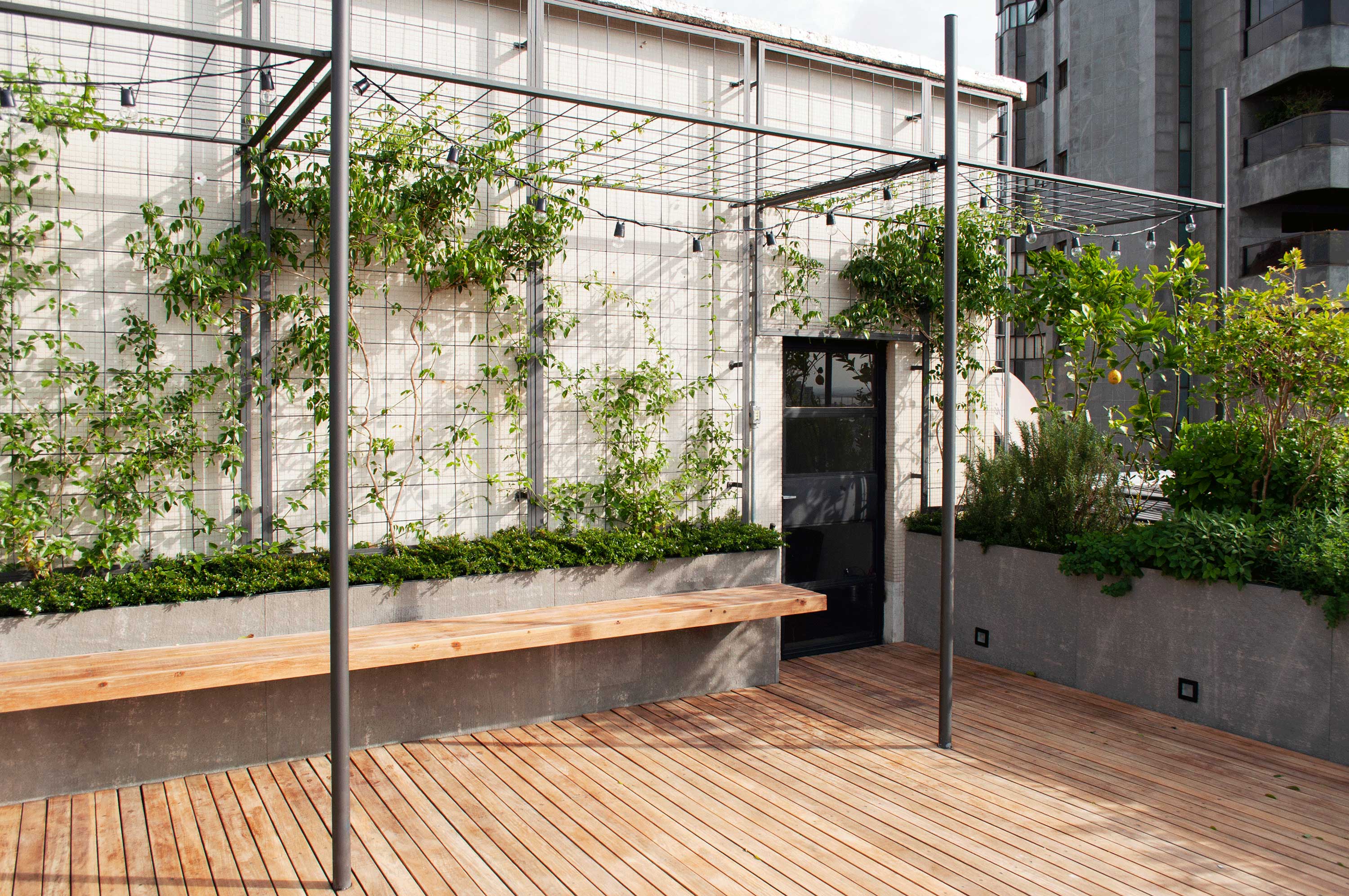 Helvetia Rooftop terrace with timber decking, planted benches and a steel pergola